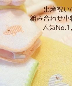 ふわふわ生地とサラサラガーゼが一枚に！『ふわサラ2wayビブ＆タオル』（ベビーグース）